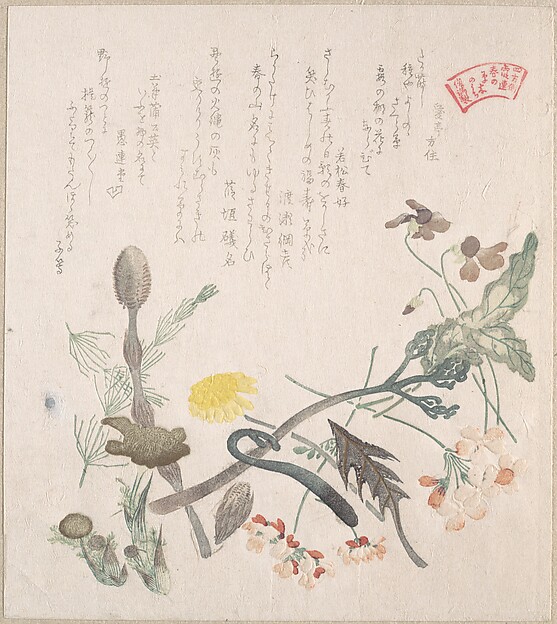 Kubo Shunman, Violets, Primroses and Other Spring Flowers