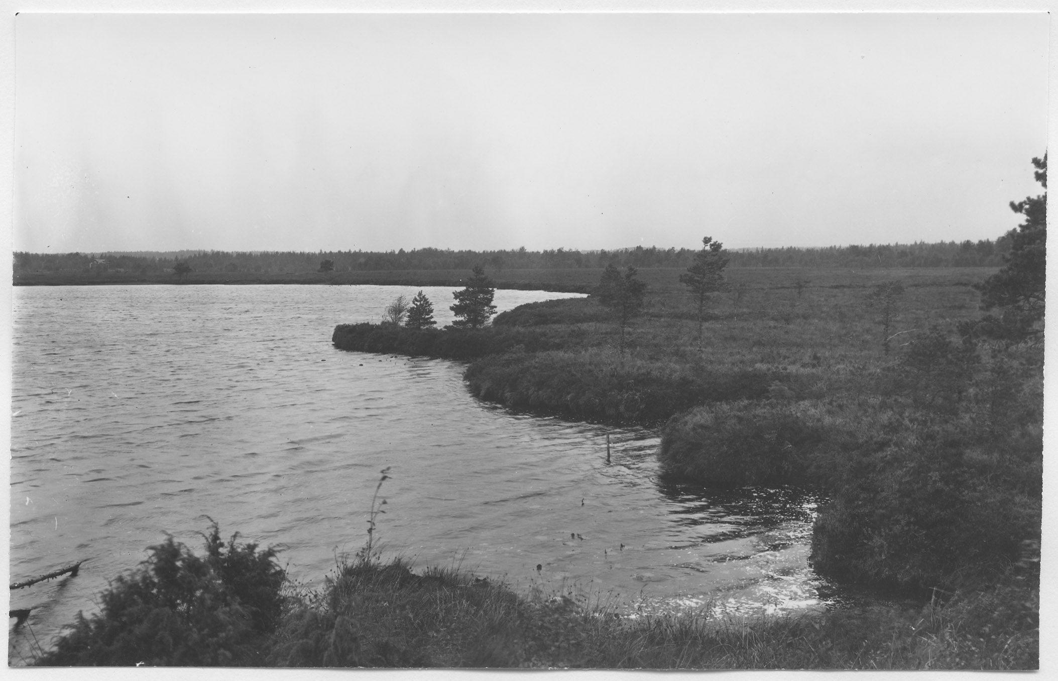 Mårten Sjöbeck, Gottåsa