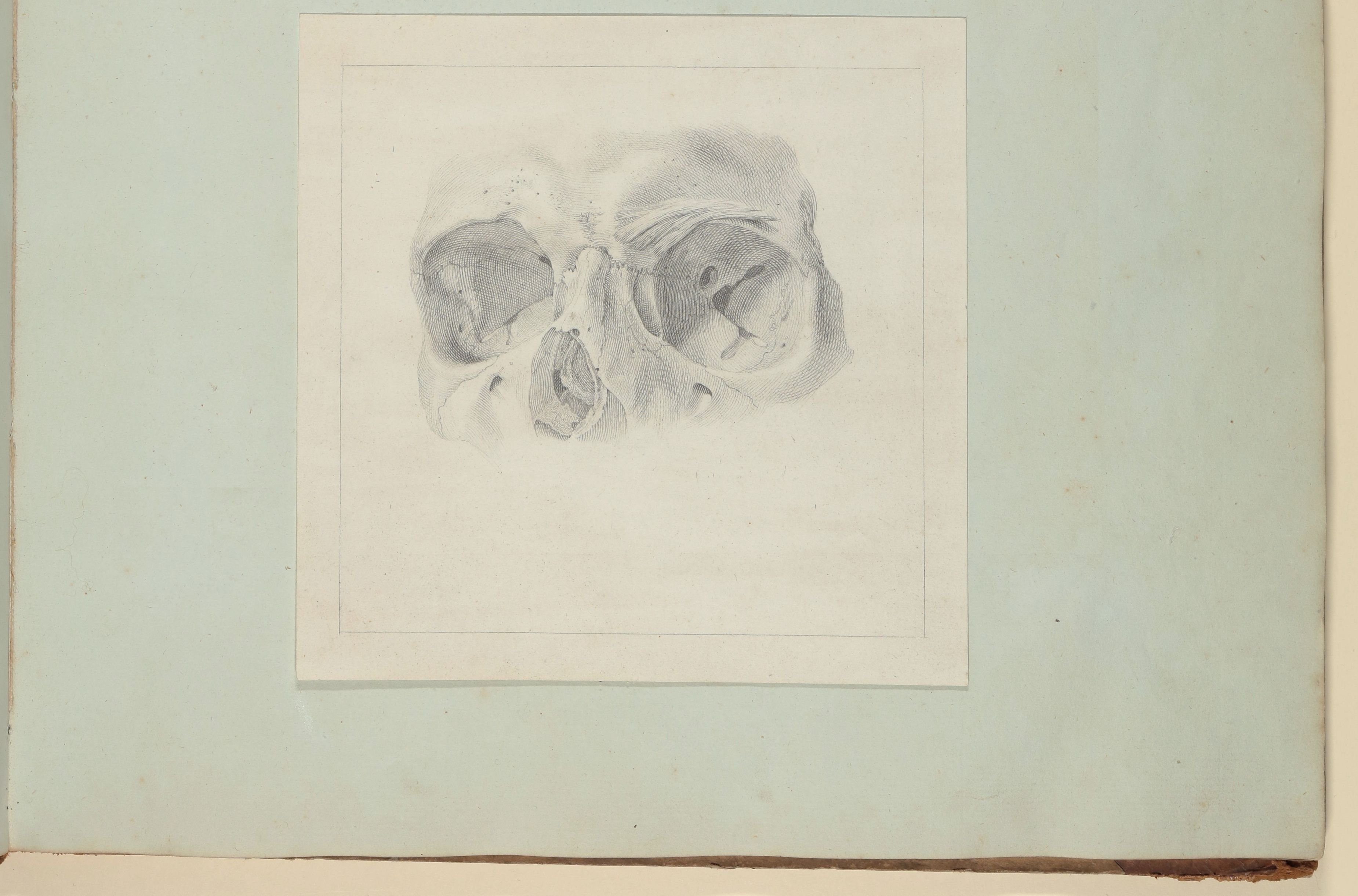 Christian Koeck, Die menschliche Augenhöhle [Vorzeichnung zu Samuel Thomas Soemmerring, Abbildungen des menschlichen Auges, Frankfurt am Main 1801, Tafel VII ("schattierte" Darstellung), Fig. 4]