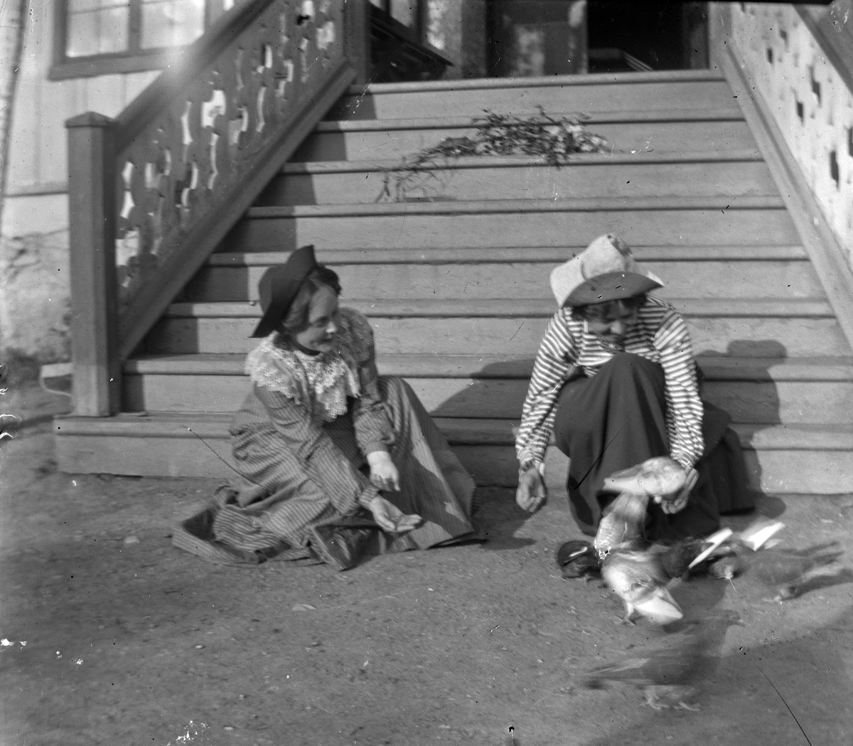Jacob Tollesen Hoel, Johanne Mathea Nyquist. (født Hoel) til venstre, og Sigrid Baastad (f. Hoel) til høyre. De var kusiner. Mater duer i trappa foran hovedbygningen på Hovinsholm gård, Helgøya i Ringsaker. Foto Jacob Hoel.