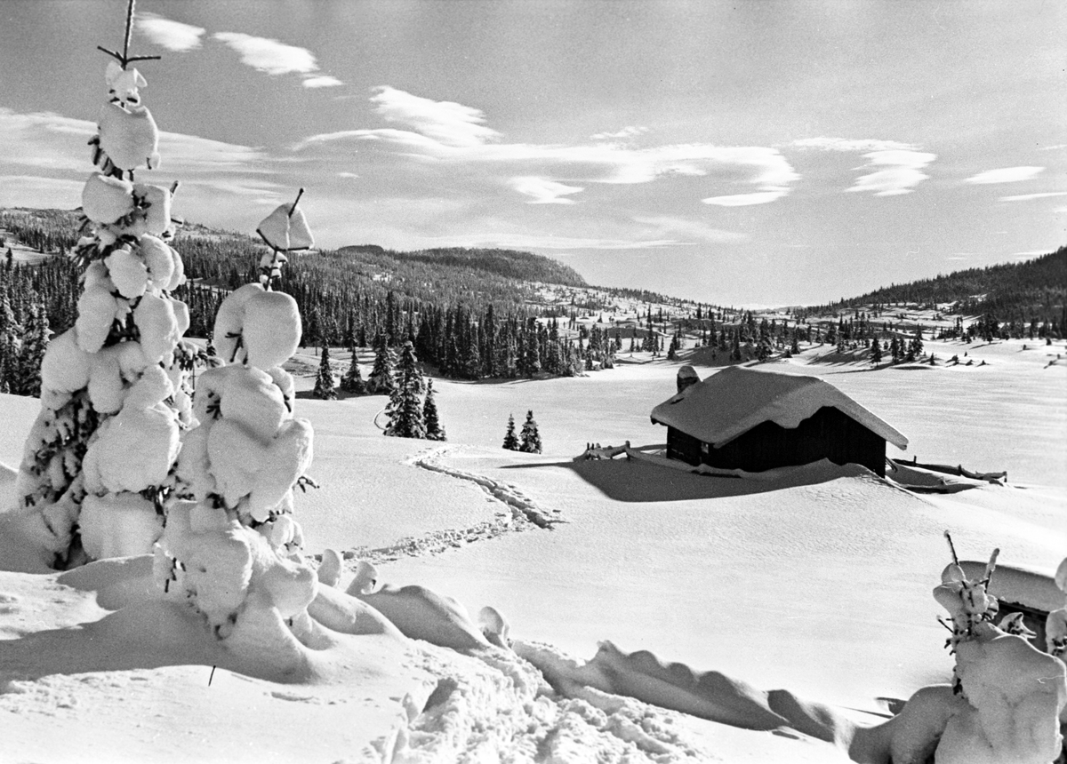Anders Beer Wilse, Prot: Tuddal Vinter