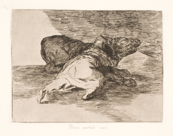 Francisco de Goya, Den får noget ud af det! (40)