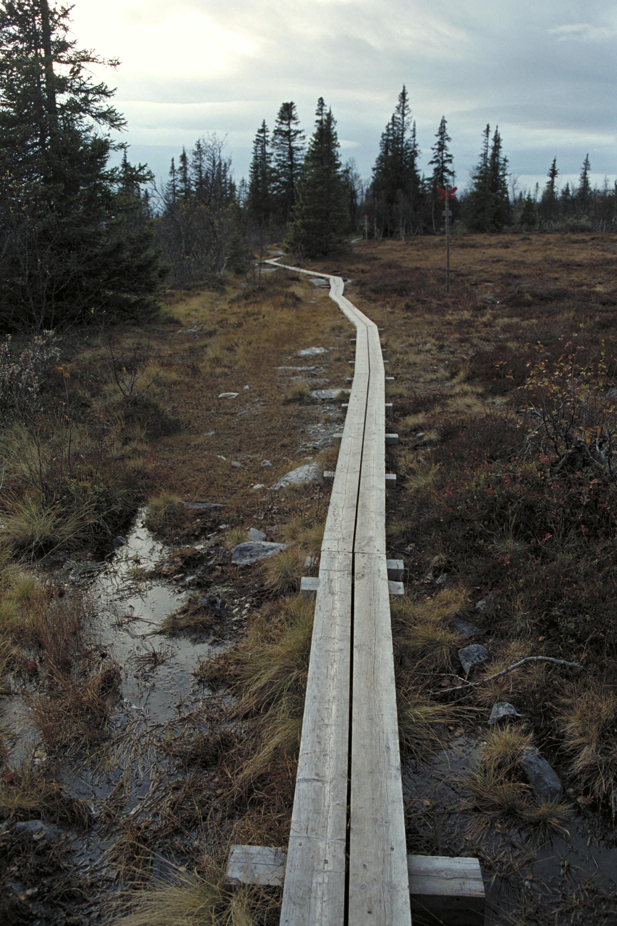 Bengt A Lundberg, Ruvallens fäbodar