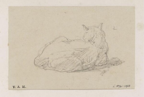 George Chinnery, A study of a cat