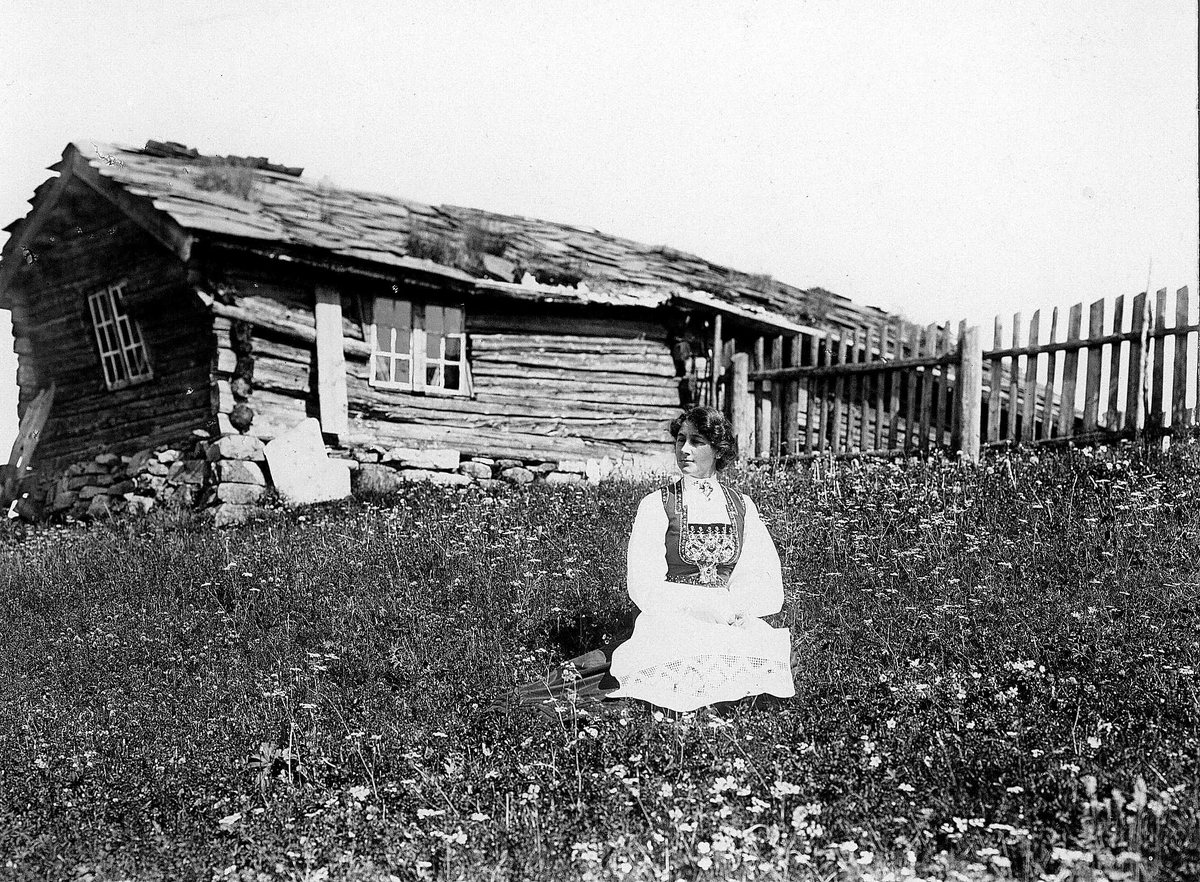 Robert Collett, Kvinne i folkedrakt sittende utenfor våningshus, ukjent sted, (som NF.09831-017). Stakittgjerde. Huset har skifertak. Slipestein står opp mot husveggen. Flere motiv fra samme sted. Serie tatt av Robert Collett (1842-1913), amatørfotograf og professor i zoologi.
