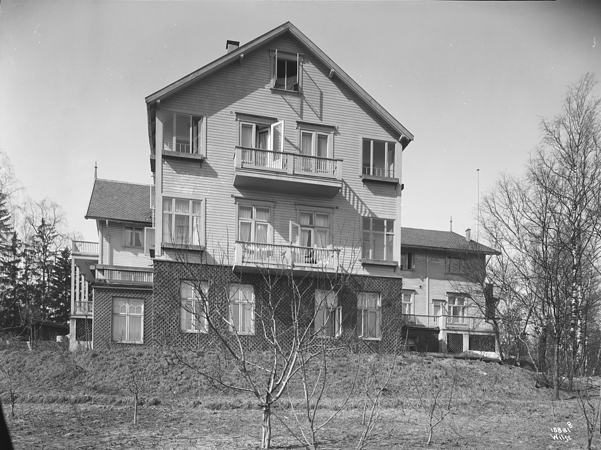 Anders Beer Wilse, Prot: Slemdal Hotel