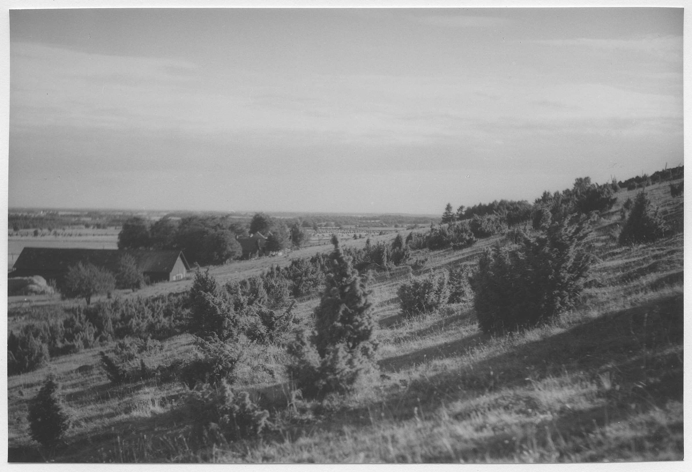 Mårten Sjöbeck, Gisseberget, södra sluttningen
