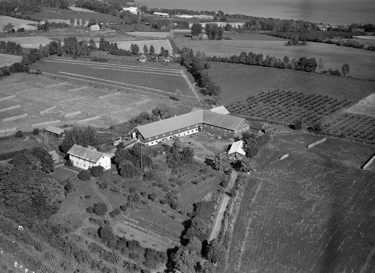 Anno Domkirkeodden, Flyfoto, gardsbruk, hage, Hoelstad, Nes, Hedmark.