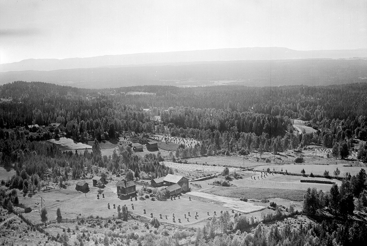 Widerøes Flyveselskap A/S, FLYFOTO, FURUSETSTUEN 279-13, BAK LILLEJORDET (VELTJORDET) 279-4, ÅSBYGDA