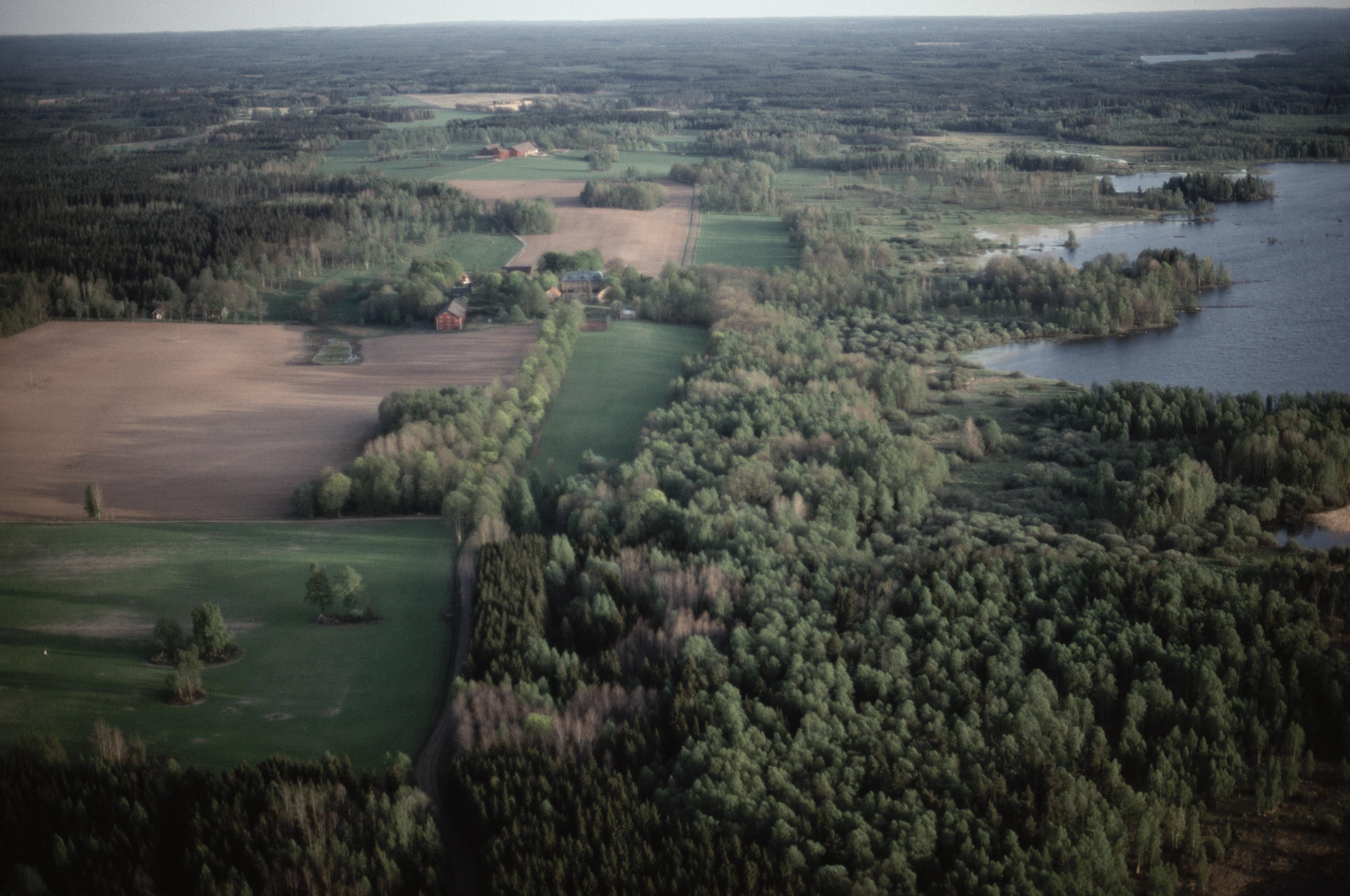 Jan Norrman, Skagershult 11:1