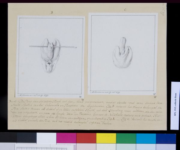 M. Houtman, Twisted tongue