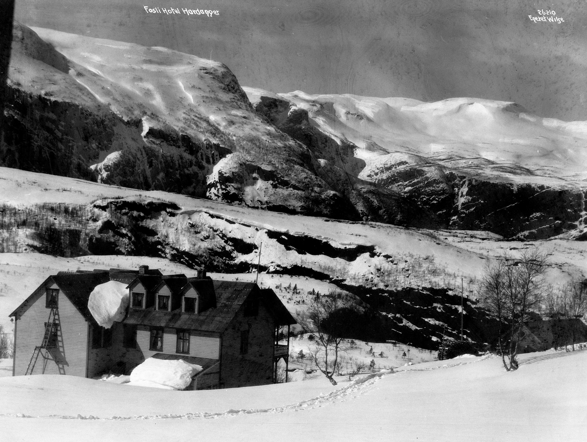Anders Beer Wilse, Prot: Hardanger - Fosli Hotel