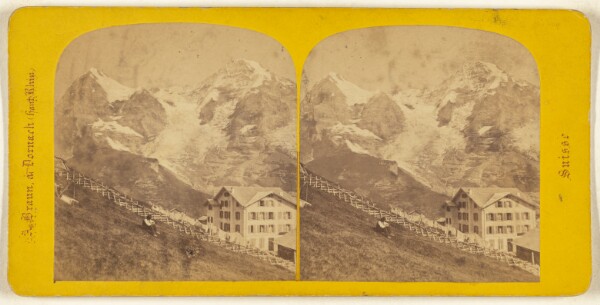 Adolphe Braun, La Wengern-Alp.