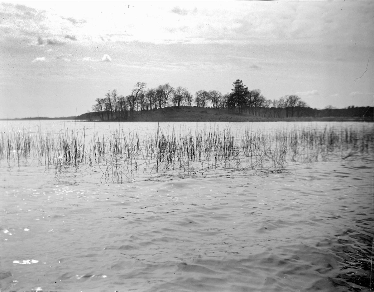 August Fredrik Schagerström, Skarholmen i Ekoln, Sunnersta, Uppsala april 1927