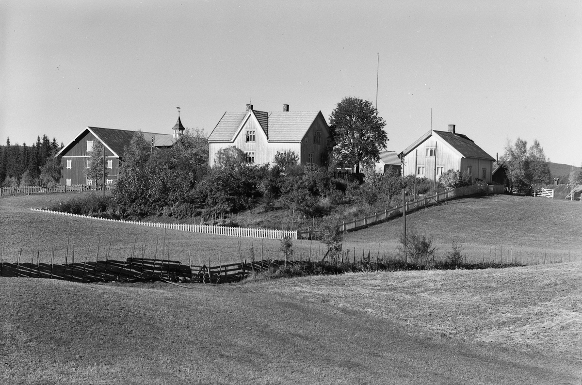Anno Domkirkeodden, EKSTR: GARDSTUN, MYKJU LILLE, LØTEN (KRÅKHAUGEN) Se Løtenboka, bind 1. Bygdeboka fra 1949, side 738