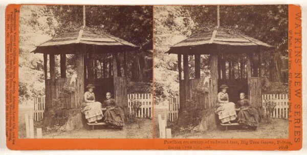 Carleton Watkins, Pavilion on stump of redwood tree, Big Tree Grove, Felton, Santa Cruz Co., Cal.