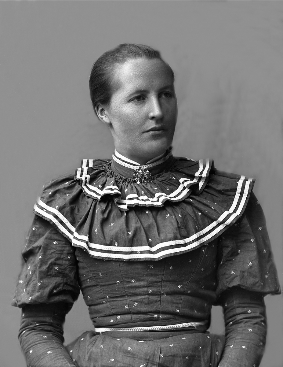 Gustav Borgen, NFB.53838