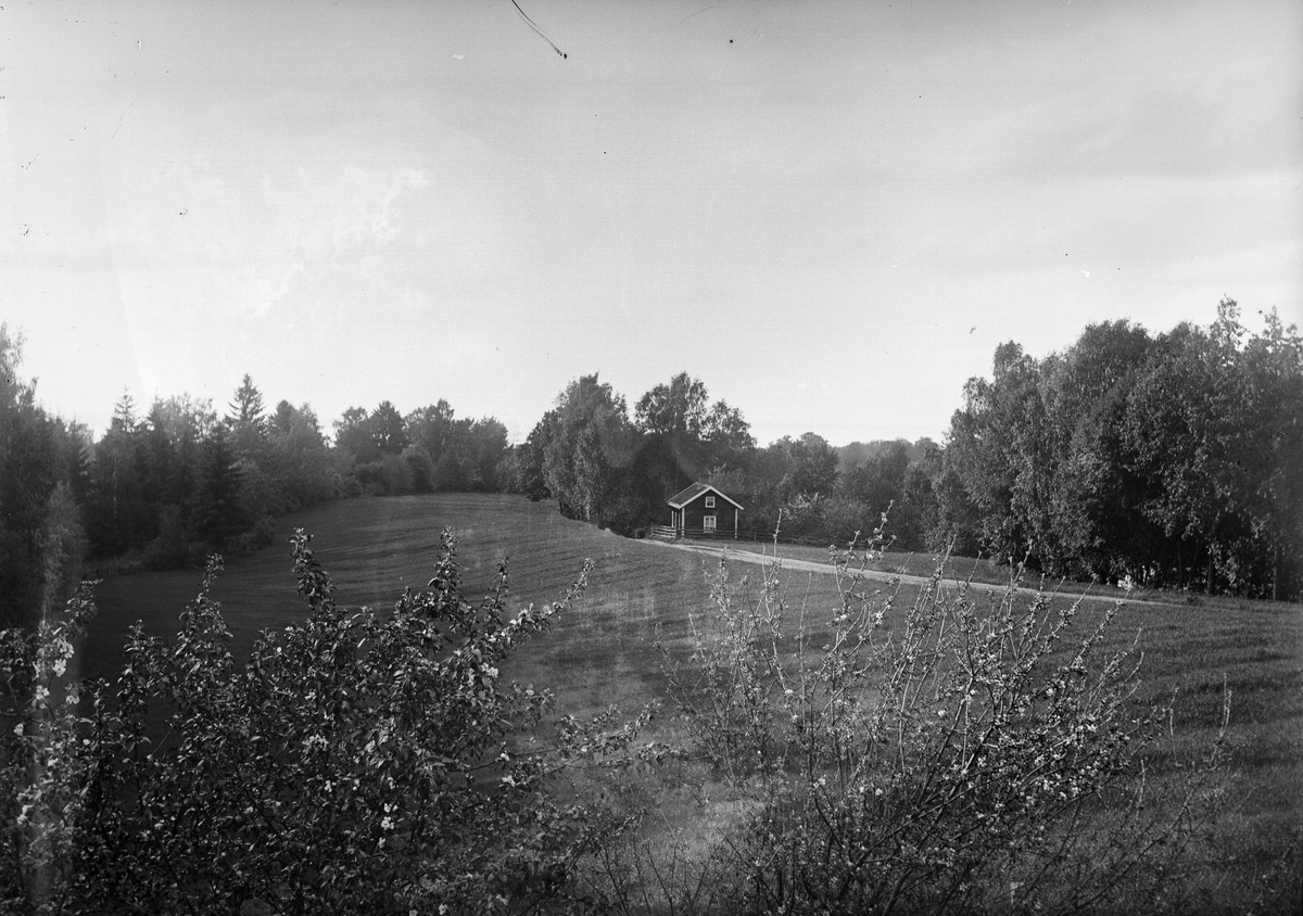 Okänd,, Small cottage at meadow, probably in Sweden