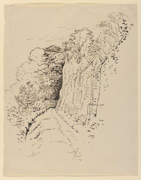 Potter, Beatrix, drawing