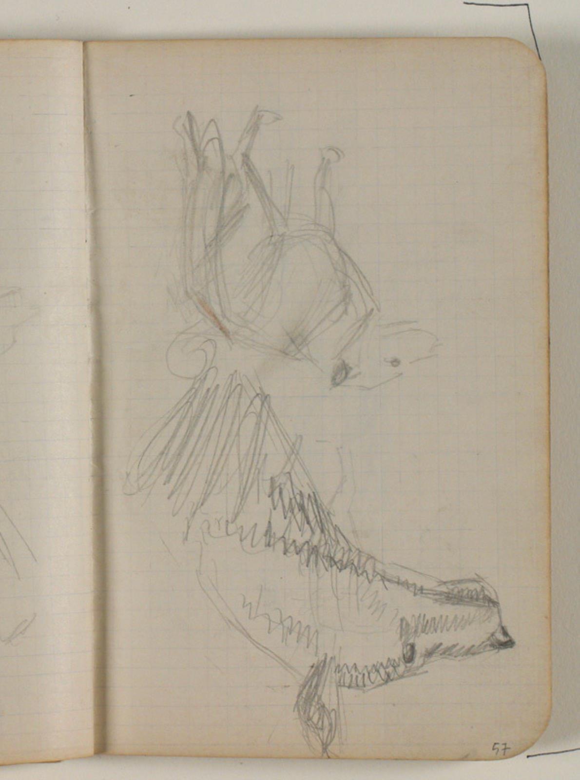 Niels Larsen Stevns, Skitser af hunde