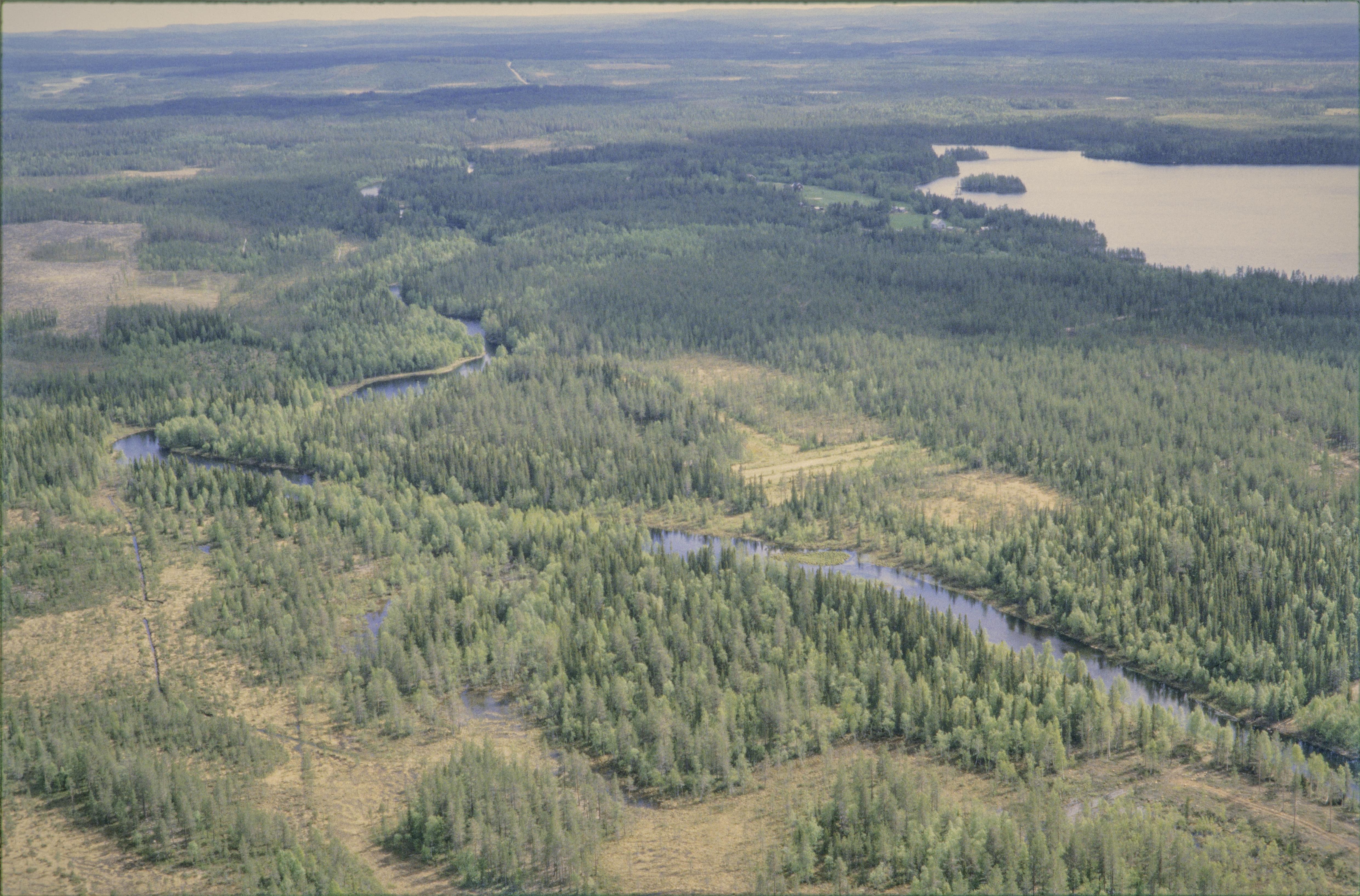 Jan Norrman, Norsjö 37:1-3