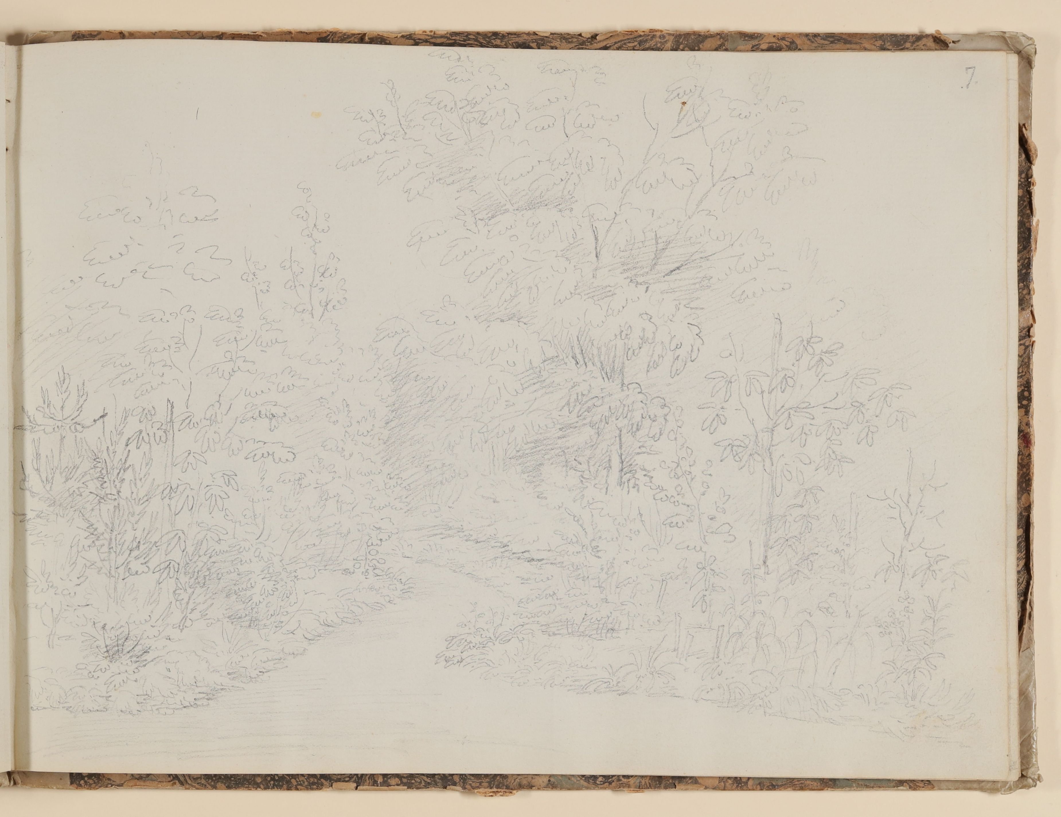 Rosette Städel, Garten- oder Parklandschaft mit kleinem, gewundenen Weg [aus einem Skizzenbuch der Rosette Städel, Blatt 7]
