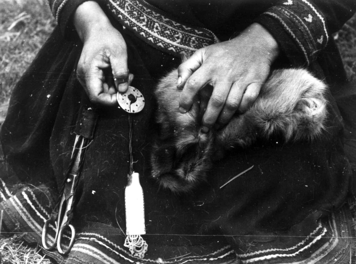 Anna Grostøl, En person arbeider med skinn. Olderdalen, Kåfjord, Troms 1947.