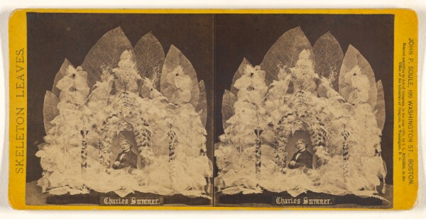John P. Soule, Charles Sumner.