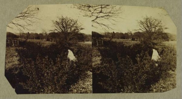 Clementina, Lady Hawarden, Photograph