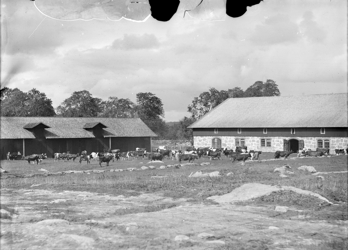 Henri Osti's Fotografiateliér, Ladugårdsbacken, Hallkveds manor, Funbo socken, Uppland 1896
