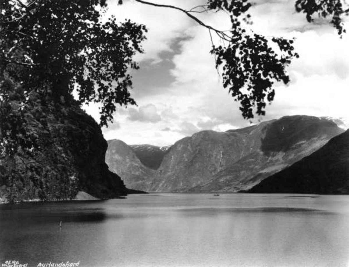 Anders Beer Wilse, -5953
