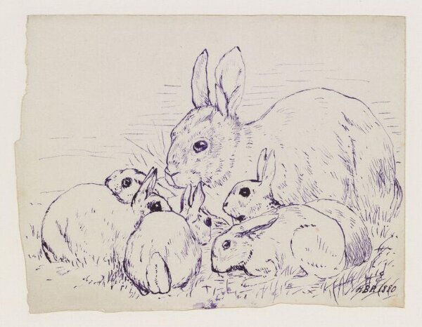 Potter, Beatrix, Wild rabbit and young