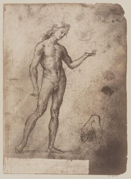 Fratelli Alinari, Study of a nude male figure