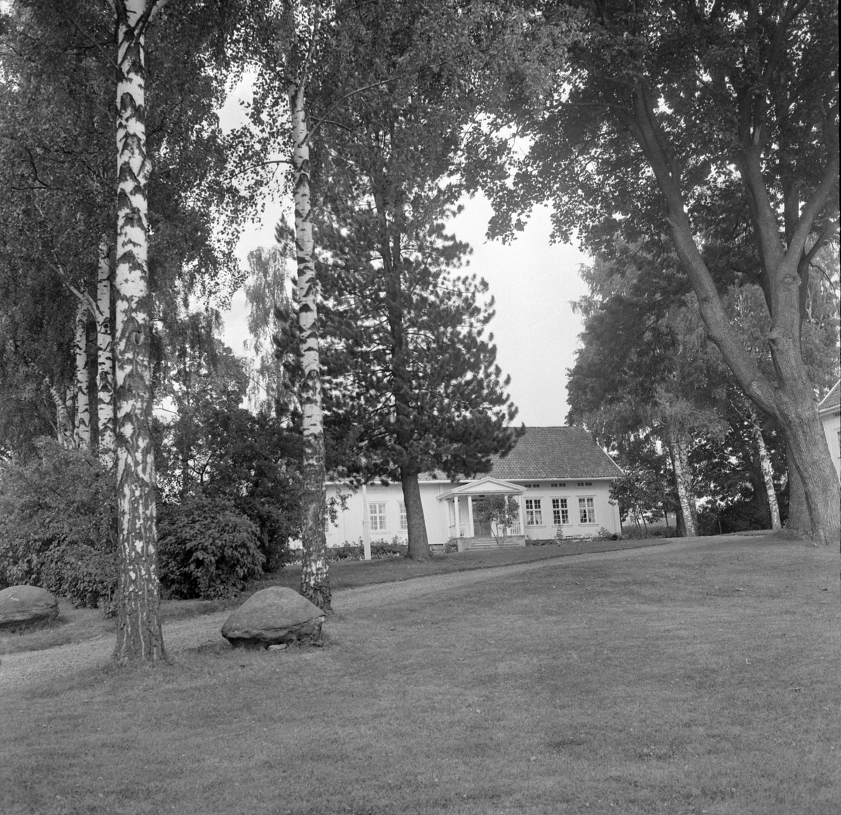 Adolf Skjegstad, ASK-04566