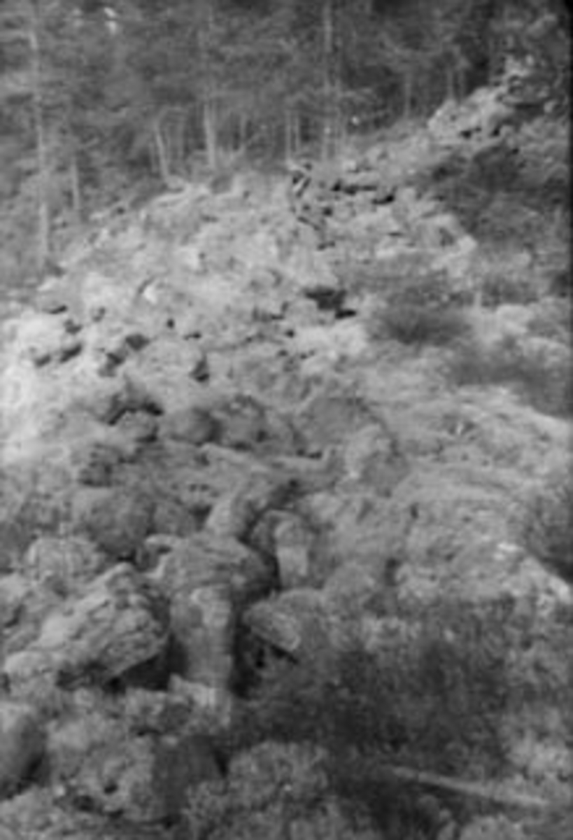 Anno Domkirkeodden, FORTIDSMINNE, FORNMINNE, RESTER AV BYGDEBORG, TANGEN