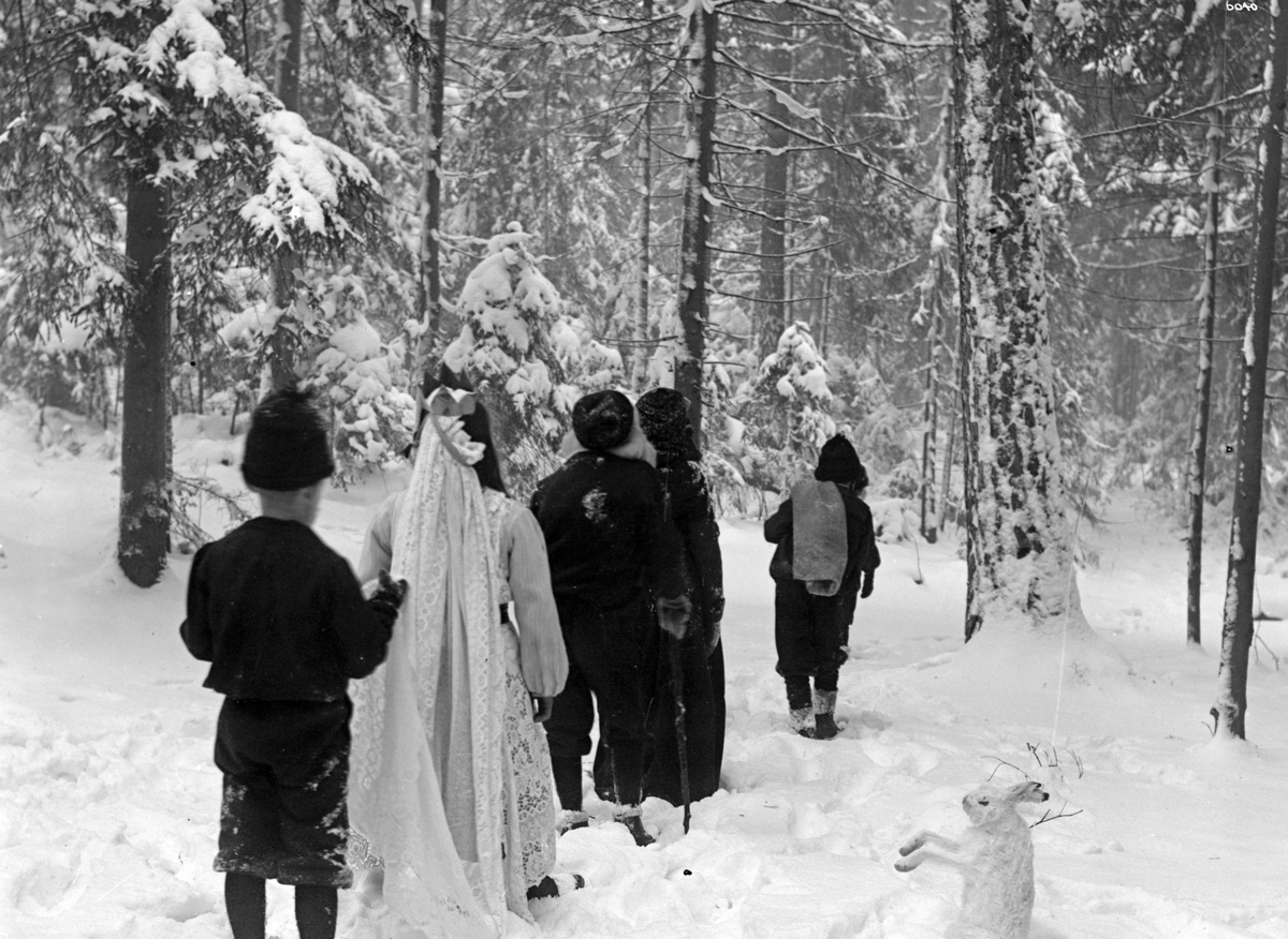 Anders Beer Wilse, Prot: Maias Drøm - Paa vei gjennem Skogen 1907