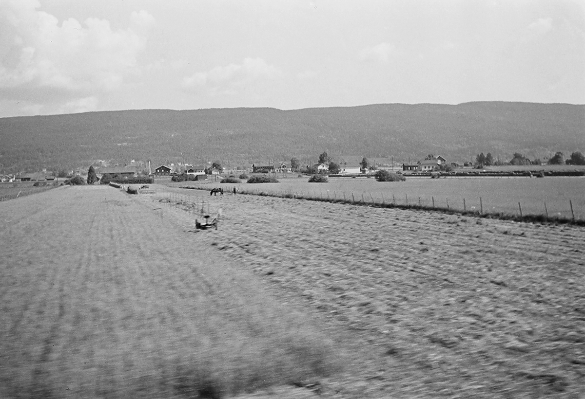Anders Beer Wilse, Landskap med hesjer, åkere og bebyggelse. Fotografert 1940.