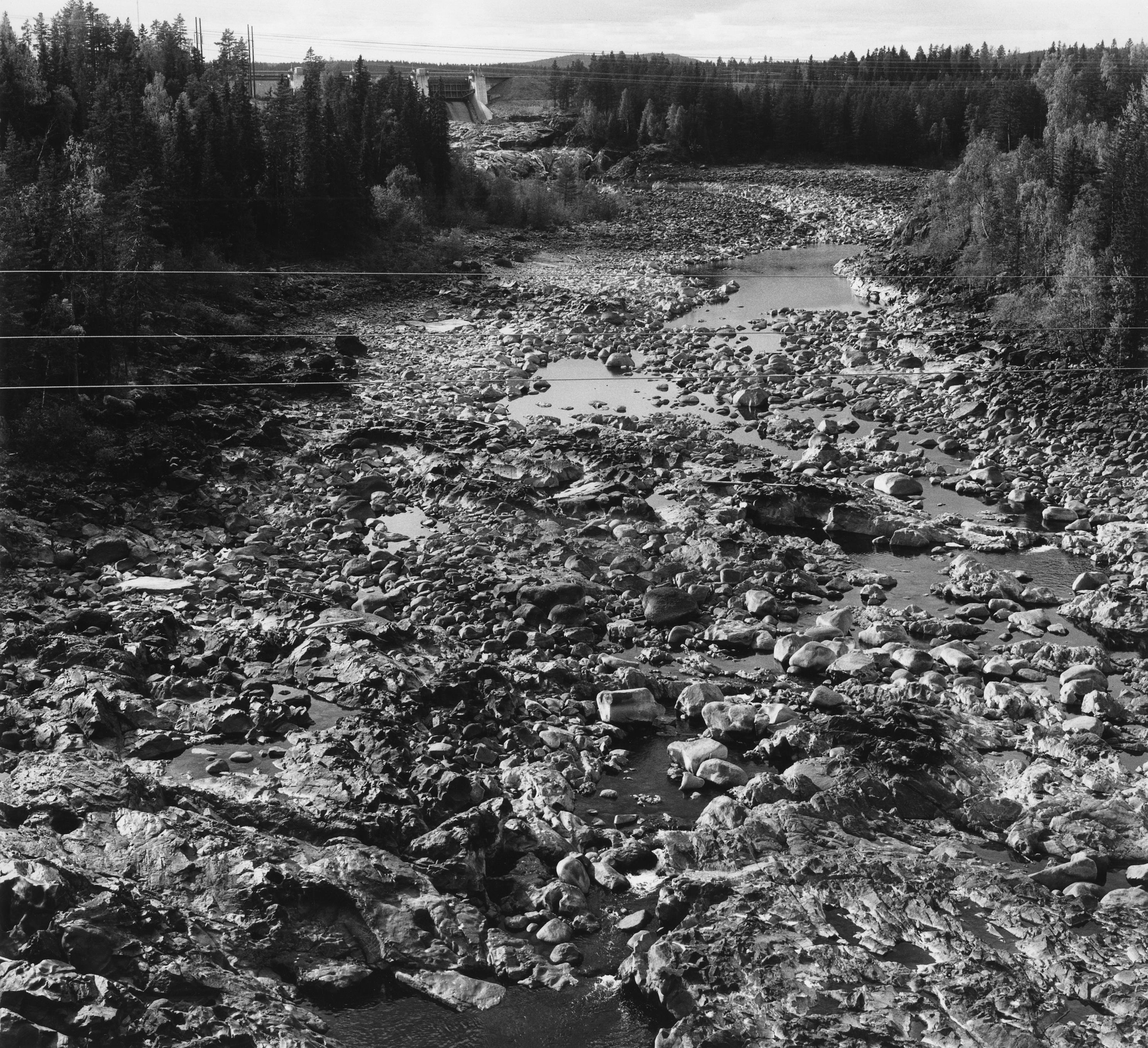 Pål-Nils Nilsson, Laforsen