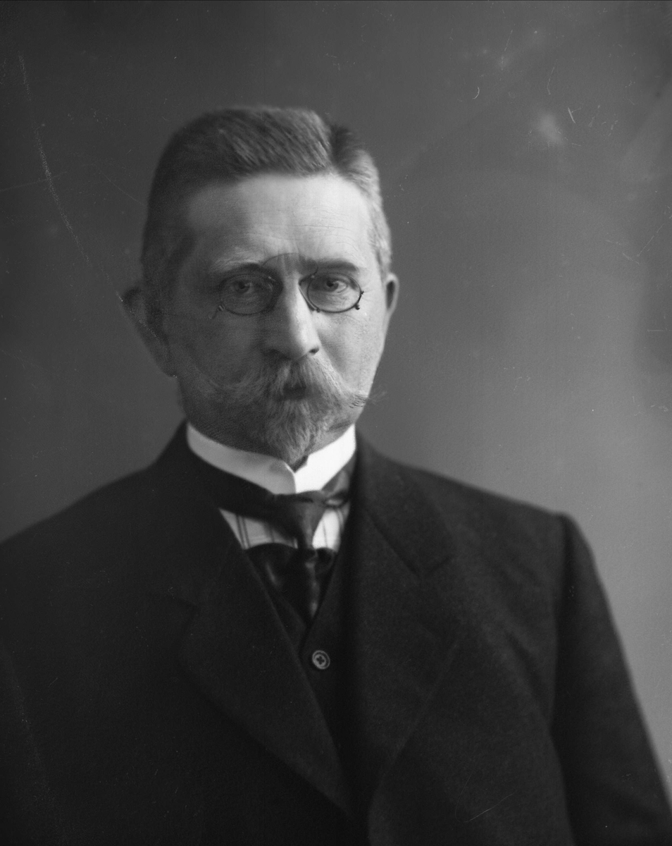 Gustav Borgen, NFB.12503