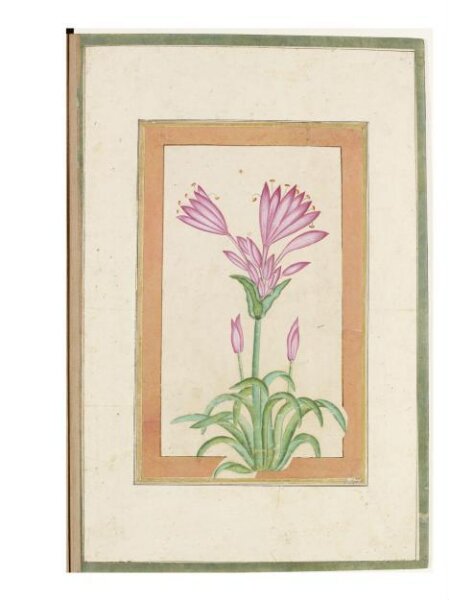 Unknown, Painting