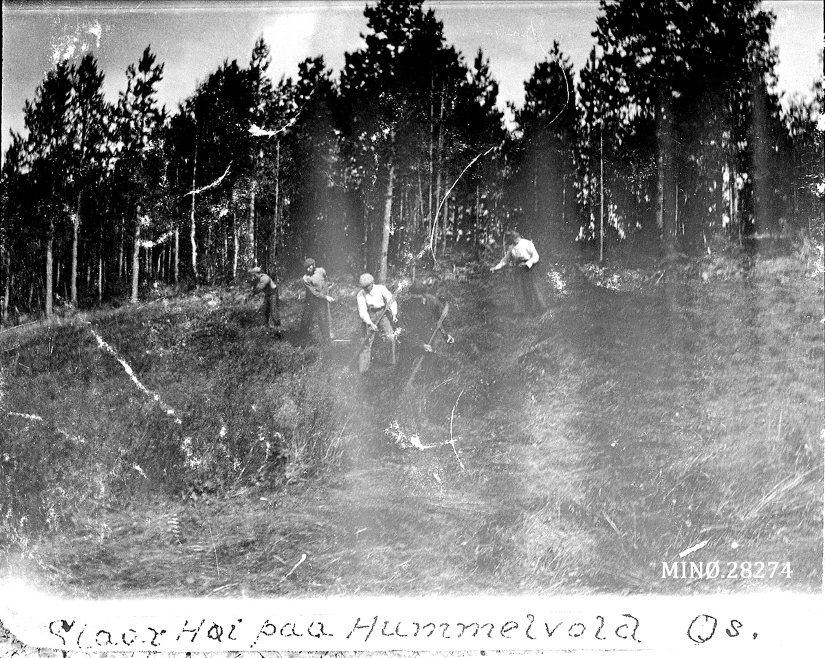 Rugsveen, Johan, Undseth, "Slaar Høi på Hummelvold Os"