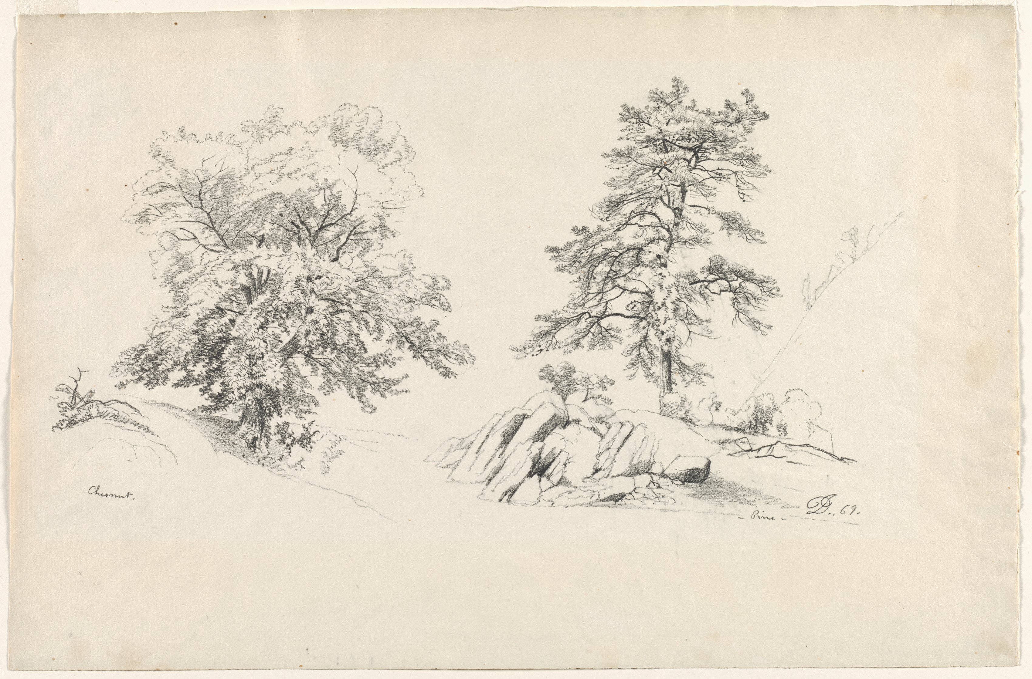 David Johnson, Chestnut and Pine