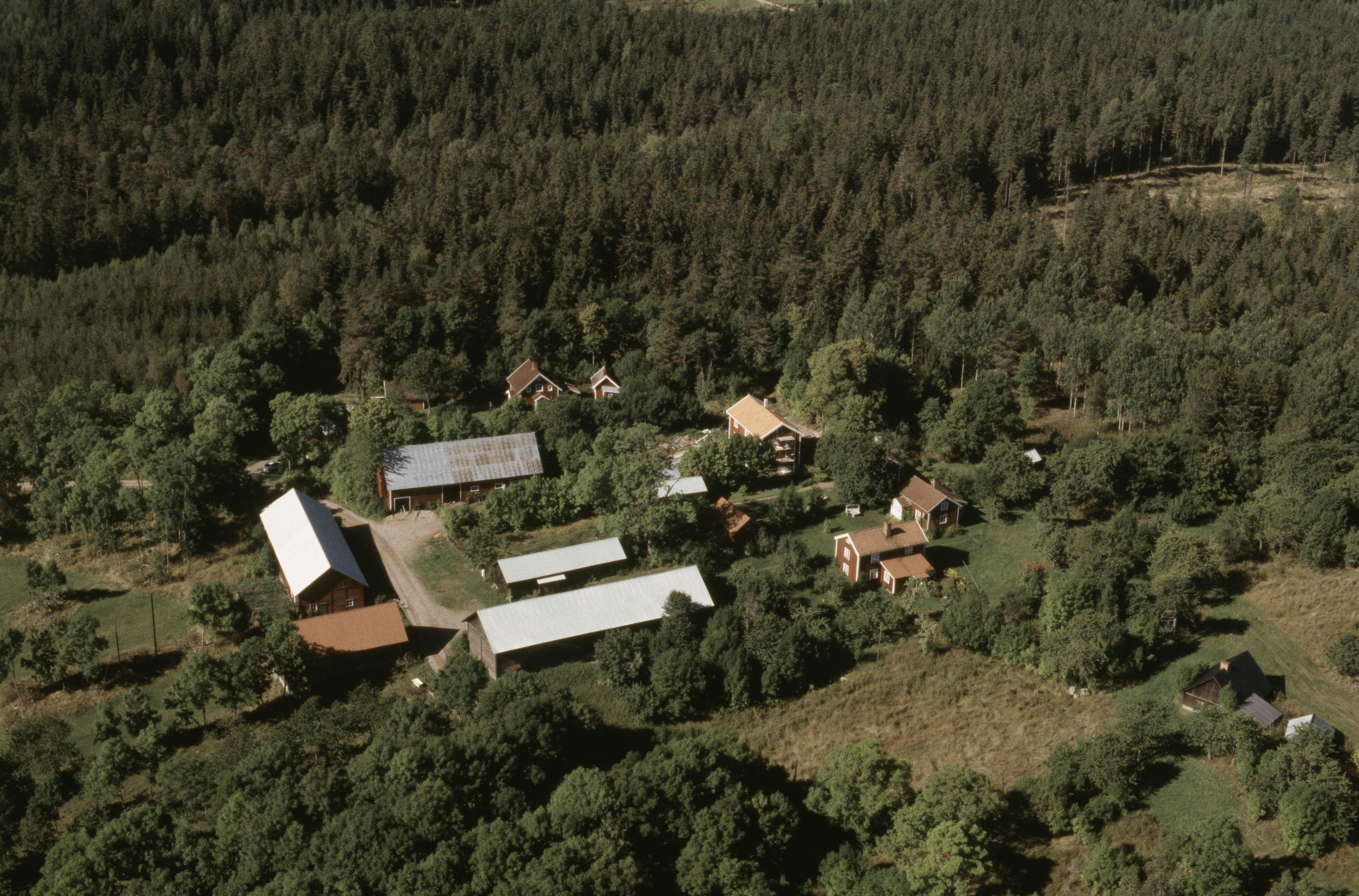 Jan Norrman, Pukulla