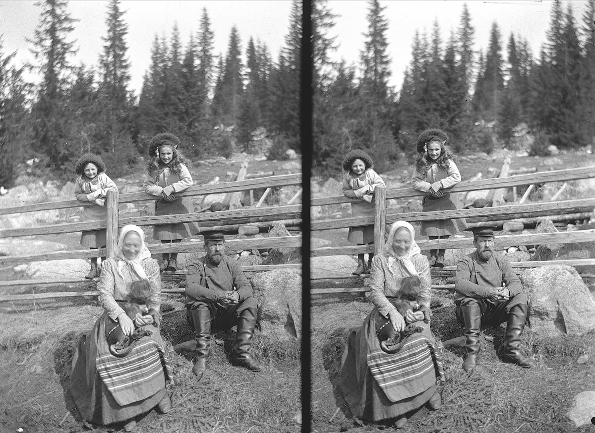 Axel Quinsgaard Wiborg, Karen og Gudrun Q. Wiborg, Gulbrand og Lisa med hund ved gjerde på Holoa seter, Hadeland, Jevnaker, Oppland, 1906.
