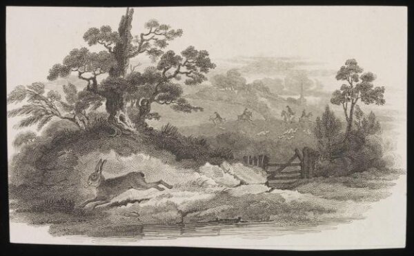 Unknown, Print