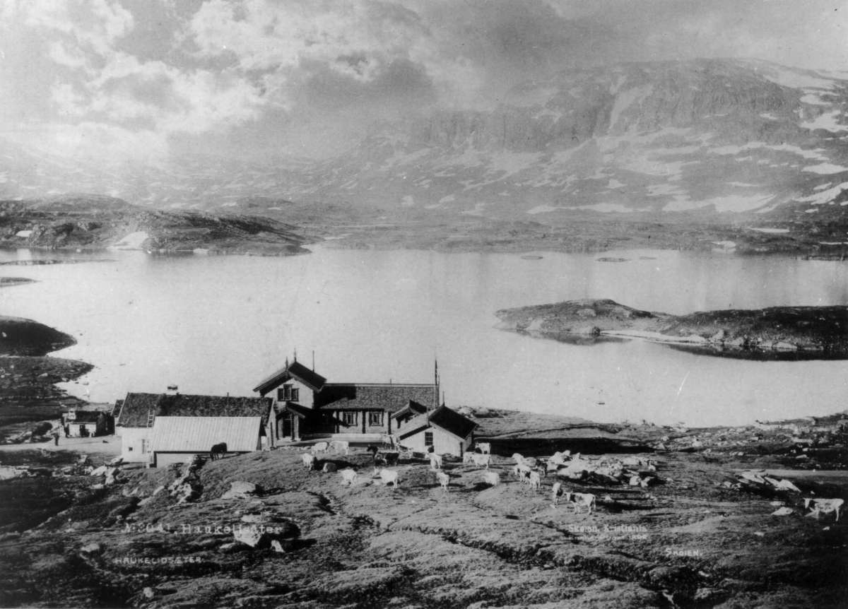 Marthinius Skøien, Haukeliseter, Haukelifjell, Vinje, Telemark.