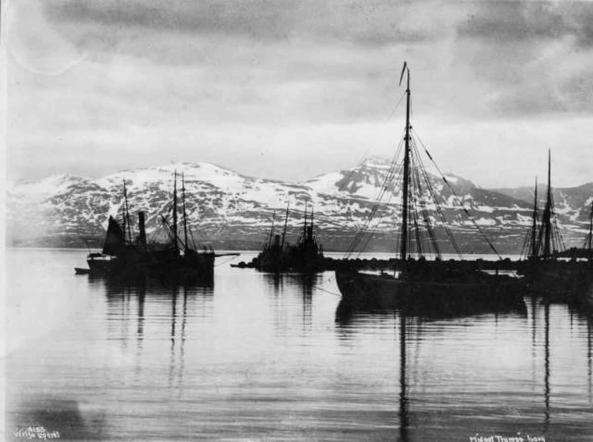 Anders Beer Wilse, Tromsøsundet med fjellene i Balsfjord og Malangen, antakelig.