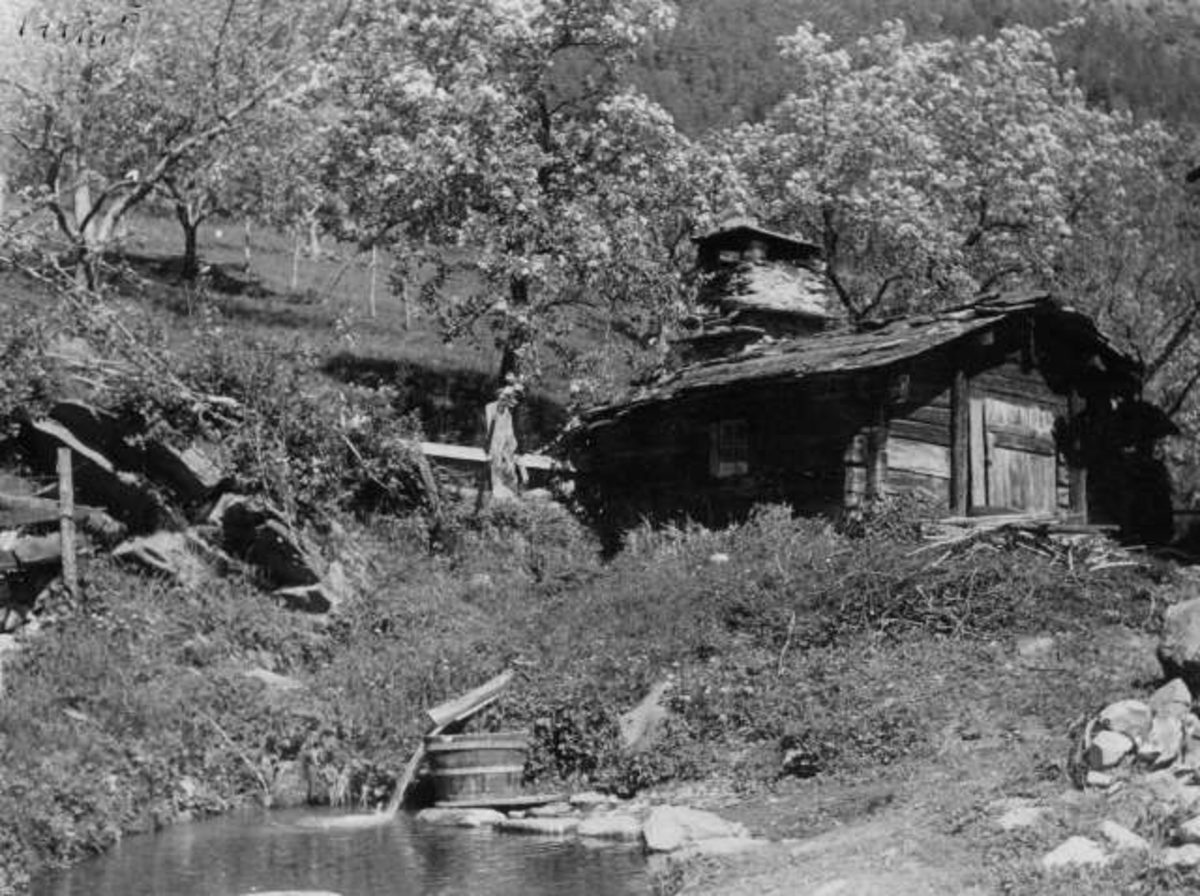 Anders Beer Wilse, Bakstestue, Luster 1941