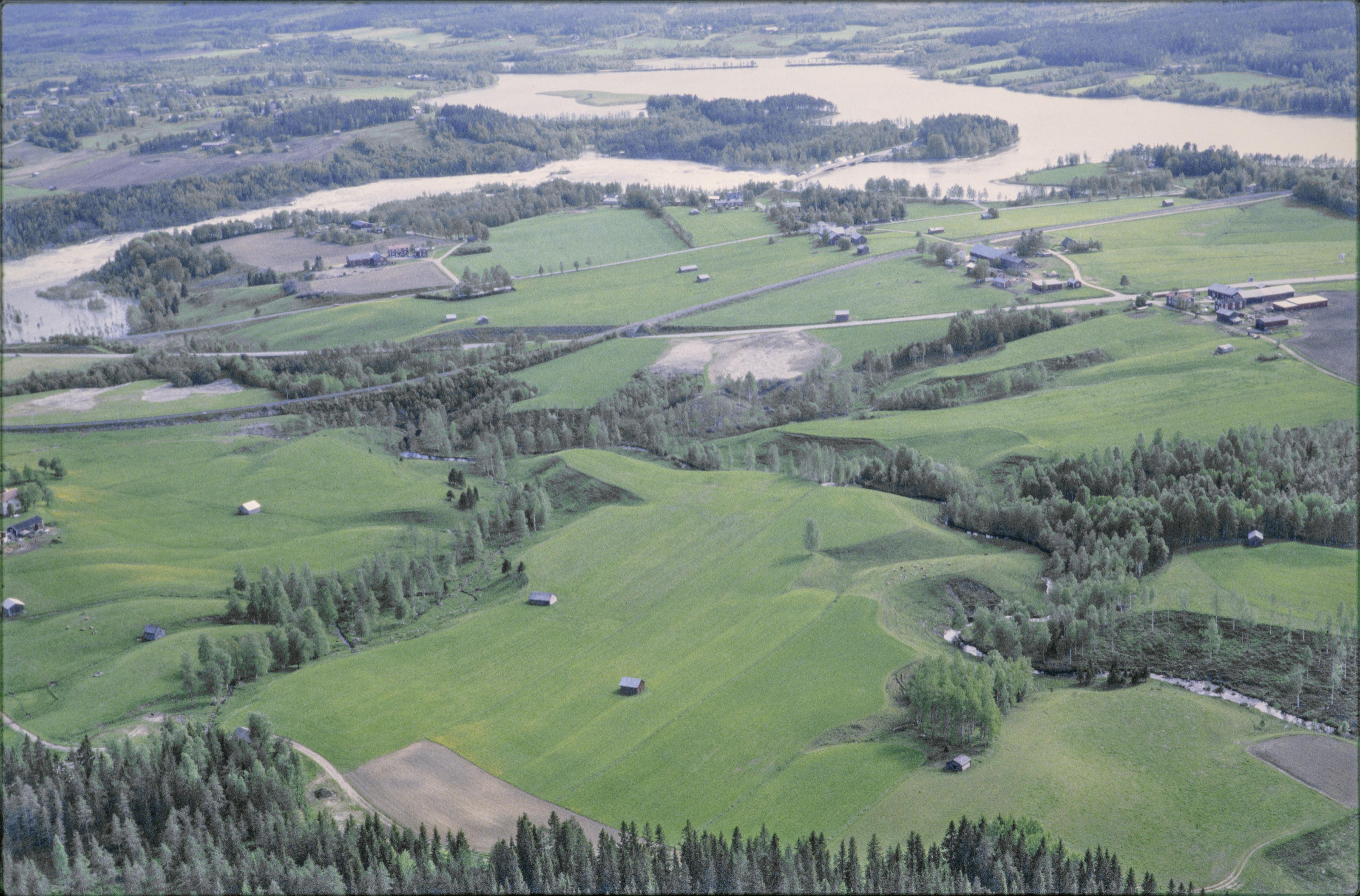 Jan Norrman, Umeå stad 365:1