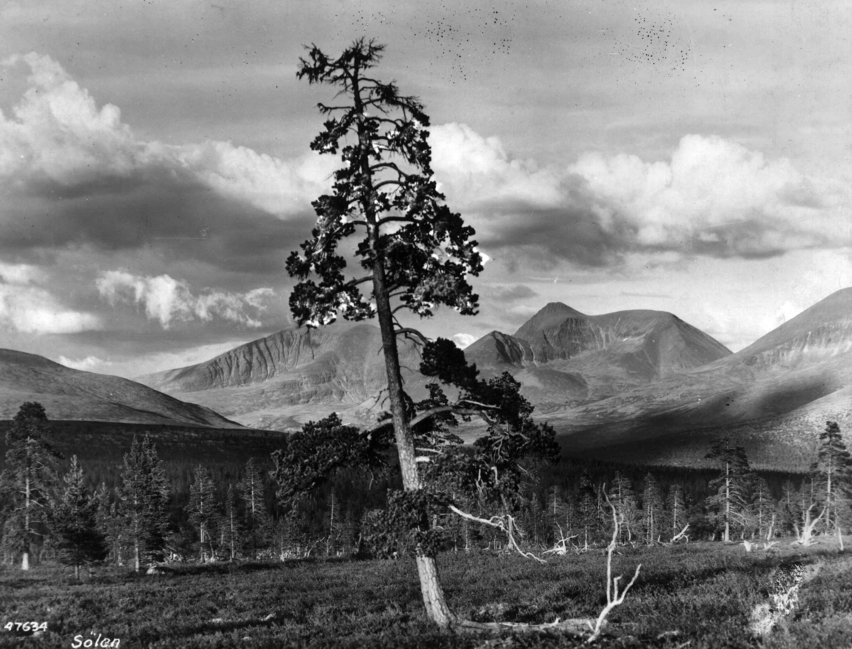 Anders Beer Wilse, Sølen fra Misterdalen, Landskap
